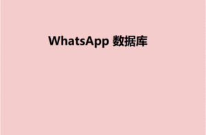 WhatsApp 数据库