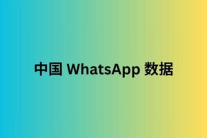 中国 whatsapp 数据