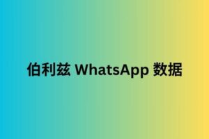 伯利兹 whatsapp 数据