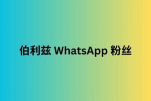 伯利兹 whatsapp 粉丝