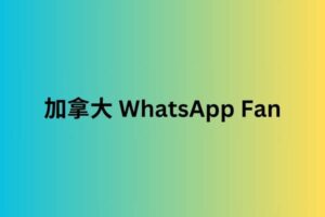 加拿大 whatsapp Fan