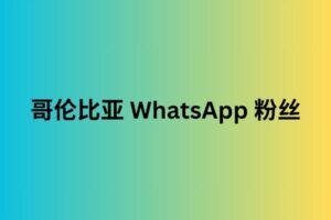 哥伦比亚 whatsapp 粉丝