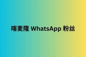 喀麦隆 whatsapp 粉丝