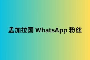 孟加拉国 whatsapp 粉丝