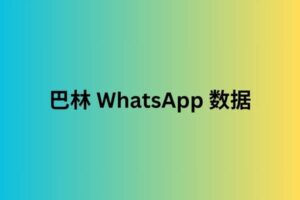 巴林 whatsapp 数据