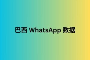 巴西 whatsapp 数据