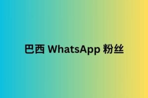 巴西 whatsapp 粉丝