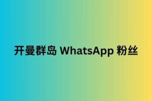 开曼群岛 whatsapp 粉丝