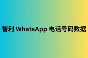 智利 whatsapp 电话号码数据