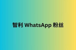 智利 whatsapp 粉丝