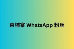 柬埔寨 whatsapp 粉丝