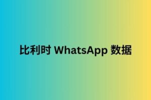 比利时 whatsapp 数据