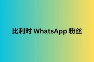 比利时 whatsapp 粉丝