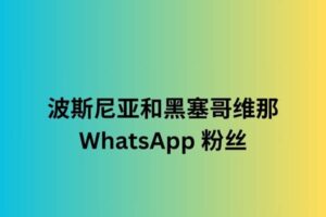 波斯尼亚和黑塞哥维那 whatsapp 粉丝