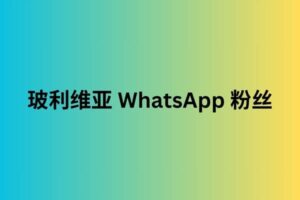 玻利维亚 whatsapp 粉丝