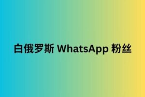 白俄罗斯 whatsapp 粉丝