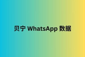 贝宁 whatsapp 数据