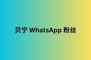 贝宁 whatsapp 粉丝